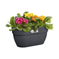 Miniatyrbillede 3 af 4: Planteur - ELHO - Vibia Campana Easy Hanger Medium - Sort - 5,8 L - L 24.1 x B 36 x H 26.5 cm Kolgrå
