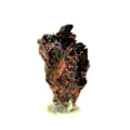 Miniatyrbillede 4 af 6: Sten og mineraler. Erythritis. 708,5 øre. Bou Azzer-distriktet, Tazenakht, Marokko.