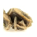 Miniatyrbillede 2 af 3: Sten og mineraler. Baryt. 854,0 øre. Saint-Georges-les-Bains, Ardèche, Frankrig..