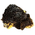 Miniatyrbillede 1 af 4: Sten og mineraler. Goethite. 1230,5 øre. Lakeview Load Claim, Park Co., Colorado, USA.