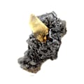 Miniatyrbillede 2 af 5: Sten og mineraler. Calcit + Sphalerit. 2947,0 øre. Elmwood Mine, Carthage, Tennessee, USA.