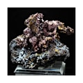 Miniatyrbillede 3 af 5: Sten og mineraler. Native kobber + Cuprit. 904,0 ct. Rubtsovskoe, Altai Krai, Rusland.