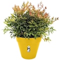 Miniatyrbild 3 av 4: Rund blomkruka LOFT URBAN - Plast - Pierced - Reservoar - Med hjul - Ø50 - Okra Ockra