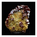 Miniatyrbillede 1 af 2: Sten og mineraler. Vanadinit. 61,0 ct. Mibladen Mining District, Midelt, Marokko.