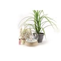 Miniatyrbild 2 av 2: Fina polystyrenebollar 50 g Vit