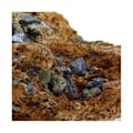 Miniatyrbild 3 av 4: Sphalerit + Galena 1465,1 karat