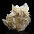 Miniatyrbillede 1 af 2: Sten og mineraler. Gips. 193,5 øre. Zaragoza, Aragon, Spanien.