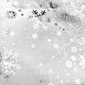 Miniatyrbillede 3 af 3: Juledug - Konstellation - Rektangulær - 150x240cm - Antisnavs - Syntetisk Vit