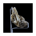 Pikkukuva 2 / 2: Kivet ja Mineraalit. Cerussite. 99,5 ct. Lescuren kaivos, Mayres, Ardèche, Ranska.