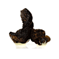Miniatyrbillede 4 af 5: Goethite 766,1 karat Flerfärgad