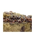 Miniatyrbillede 3 af 4: Sten og mineraler. Sphalerit (Blende) + Siderite. 2757,5 øre. La Mure mine, Isère, Frankrig.