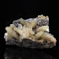 Pikkukuva 3 / 3: Kivet ja mineraalit - ABIJOUX - Kalsiitti - 289,0 ct - Luzy, Nièvre, Ranska