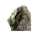 Miniatyrbillede 3 af 4: Sten og mineraler. Prehnite. 1095,0 øre. La Combe de la Selle, Bourg d'Oisans, Frankrig..