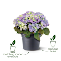 Miniatyrbillede 3 af 6: Elho Green Basics Cilinder 55 blomsterkasse - Sort - Ø 54 x H 41 cm - udendørs - 100% genanvendt Svart
