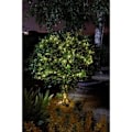 Pikkukuva 1 / 3: LUCIOLE ulkona aurinkoseppele 200 lämpimän valkoista LEDiä - SMART GARDEN - 21,9m