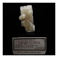 Miniatyrbillede 1 af 3: Sten og mineraler. Cerussite. 117,0 øre. Djebel Touireuf, Tunesien.