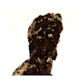 Miniatyrbillede 2 af 3: Sten og mineraler. Siderit, Kvarts, Pyrit. 645,0 ct. Saint-Pierre-de-Mésage, Isère, Frankrig..