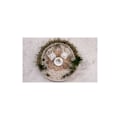 Miniatyrbillede 2 af 2: 'Mousse d'Islande 'Rayher - Mini have' Natur 30g'