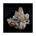 Miniatyrbild 4 av 4: Stenar och mineraler. Cerussite. 222,0 cent. Mindouli, Poolavdelningen, Kongo.