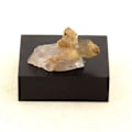 Miniatyrbillede 1 af 2: Sten og mineraler. Fluorit + Kvarts. 14,25 ct. Mont Blanc-massivet, Frankrig.