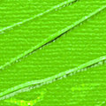 Miniatyrbillede 3 af 3: Akrylmaling - Pébéo - Studio - Chrome Oxide Green - 100 ml - Satin Kromoxidgrön