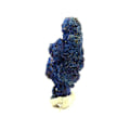 Miniatyrbillede 3 af 3: Sten og mineraler. Chessylit (Azurit). 21,5 ct. Chessy-les-Mines, Frankrig.