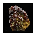 Miniatyrbillede 2 af 2: Sten og mineraler. Vanadinit. 61,0 ct. Mibladen Mining District, Midelt, Marokko.