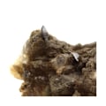 Miniatyrbillede 2 af 3: Sten og mineraler. Anatase + Kvarts. 147,5 øre. Col de La Madeleine, Savoie, Frankrig.