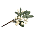 Miniatyrbillede 2 af 2: Misteltein Grön