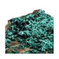 Miniatyrbillede 3 af 4: Sten og mineraler. Brochantite. 2543,0 øre. Kabolela-minen, Lualaba, Congo.