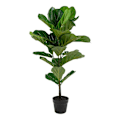 Pikkukuva 1 / 4: House Nordic Keinopuu Ficus lyrata 100 cm Vihreä 442779 Grön