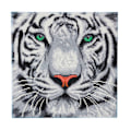 Pikkukuva 1 / 4: Taulu Broderie Diamant Crystal Art 30x30cm Lumiotsoni Snöleopard