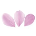 Miniatyrbillede 1 af 2: 50 afskårne fjer - Lyserød 6 cm Rosa