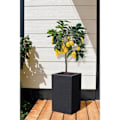 Miniatyrbillede 2 af 2: EDA Graphit Up Square High Flower Box - 36 L - 29,5 x 29,5 cm x 49,5 cm - Antracitgrå Kolgrå
