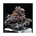 Miniatyrbillede 2 af 5: Sten og mineraler. Native kobber + Cuprit. 904,0 ct. Rubtsovskoe, Altai Krai, Rusland.