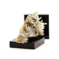 Miniatyrbillede 3 af 3: Siderit, Kvarts, Pyrit 332,7 karat Flerfärgad