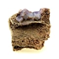 Miniatyrbillede 4 af 4: Sten og mineraler. Fluorit. 354,5 øre. Mont-Roc, Tarn, Frankrig.