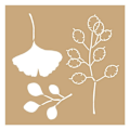 Pikkukuva 1 / 2: 2 Kraft Ginkgo biloba- ja luontostensiiliä 20 x 20 cm kastanj