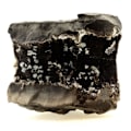 Miniatyrbillede 1 af 2: Sten og mineraler. Septaria, Calcit, Dolomite, Celestine, Quartz. 1592,50 øre. Ribiers, Frankrig.