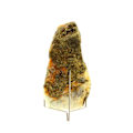 Miniatyrbillede 2 af 3: Sten og Mineraler - ABIJOUX - Chalcopyrit + Fluorit - 1985.80 ct - Mont-Roc Mine