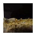 Miniatyrbillede 2 af 3: Epidote 419,1 karat Flerfärgad