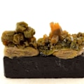 Miniatyrbillede 1 af 6: Sten og mineraler. Pyromorphit. 186,15 øre. Les Farges mine, Ussel, Corrèze, Frankrig.