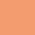 Miniatyrbillede 3 af 4: Blank vandbaseret porcelænsmaling - Mango - 45 ml Orange