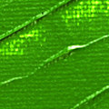 Miniatyrbillede 3 af 4: Acryl - Pébéo - 169061 - Grønne Jord - 250 ml - Satinérendt Grön jord