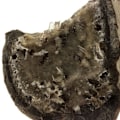 Pikkukuva 1 / 3: Kivet ja mineraalit. Septaria, Diamond Quartz, Celestine. 1222,0 senttiä. Condorcet, Drôme, Ranska.