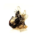 Miniatyrbillede 2 af 2: Sten og mineraler. Siderit + Kvarts. 361,5 øre. Chachatier, Vaulnaveys-le-Bas, Isère, Frankrig.