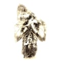 Miniatyrbillede 4 af 4: Sten og mineraler. Gips. 185,0 øre. Le Monestier-du-Percy, Isère, Frankrig..