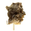 Miniatyrbillede 1 af 3: Sten og mineraler. Anatase + Kvarts. 147,5 øre. Col de La Madeleine, Savoie, Frankrig.