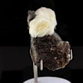 Miniatyrbillede 3 af 3: Sten og mineraler. Baryt + Sphalerit. 353,40 øre. Les Cèdres mine, Montdardier, Gard, Frankrig.