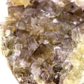 Miniatyrbillede 3 af 4: Sten og mineraler. Fluorit. 660,5 ct. Valzergues, Aveyron, Occitanie, Frankrig..